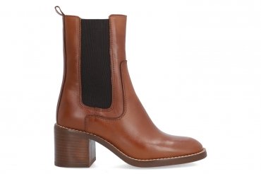 Alpe 2563 / CAMEL