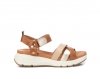 Carmela 161480 / CAMEL