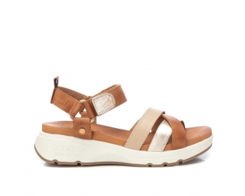 Carmela 161480 / CAMEL