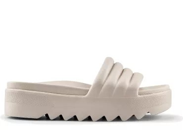 Cougar Pool Party / BEIG