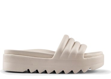 Cougar Pool Party / BEIG