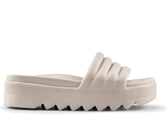 Cougar Pool Party / BEIG