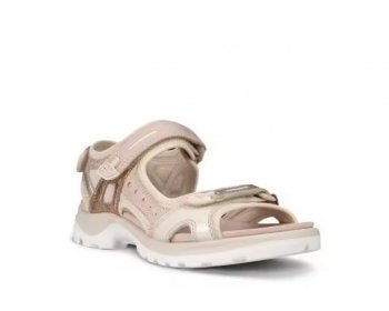 Ecco 822083 / ROSA