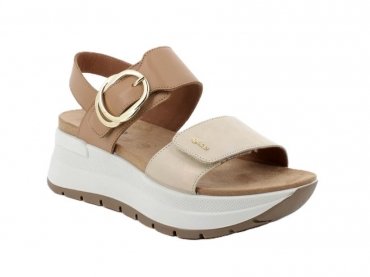 Igi&Co 76776 / CAMEL