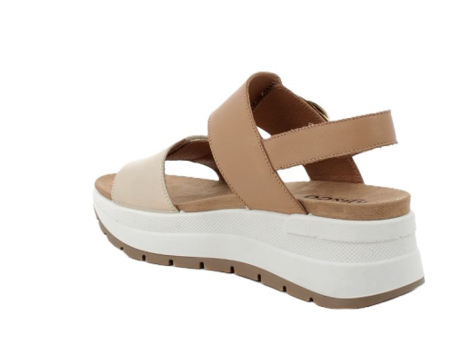 Igi&Co 76776 / CAMEL