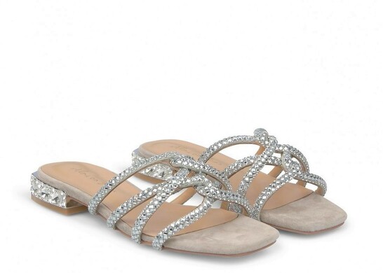 Alma en Pena 366 / VISON