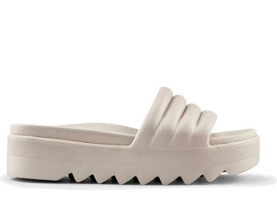 Cougar Pool Party / BEIG