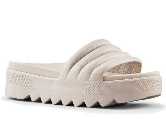 Cougar Pool Party / BEIG