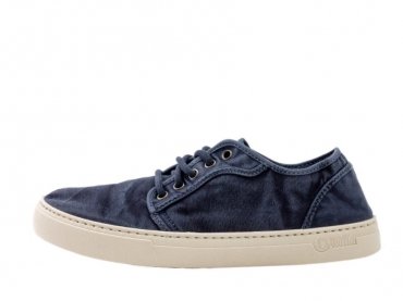 Natural World 6602E / AZUL