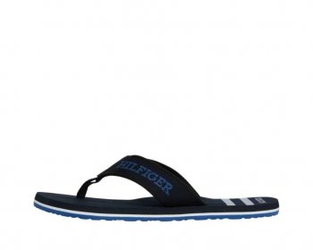 Tommy Hilfiger FM05020 / AZUL