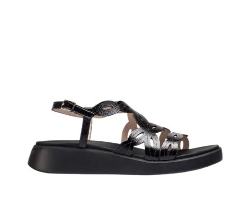 Wonders C-6542 / NEGRO