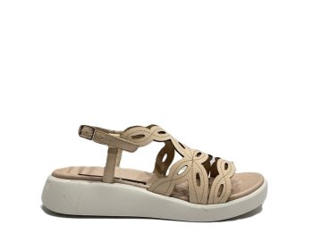 Wonders C-6542 / ROSA