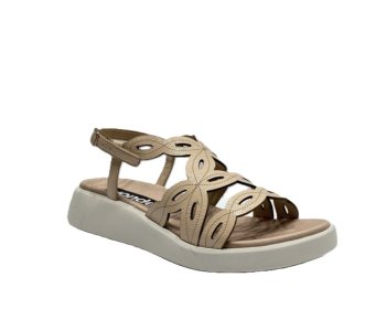 Wonders C-6542 / ROSA