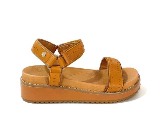 Carmela 68508 / CAMEL