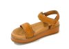 Carmela 68508 / CAMEL