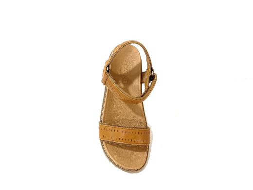 Carmela 68508 / CAMEL