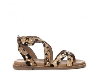 Carmela 162393 / LEOPARDO