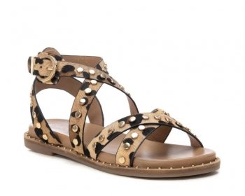 Carmela 162393 / LEOPARDO