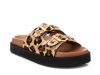 Carmela 162401 / LEOPARDO