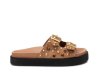 Carmela 162401 / CAMEL
