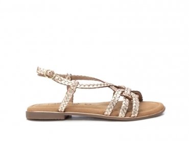 Carmela 162388 / ORO