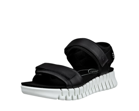 Ecco  21310301001 / NEGRO