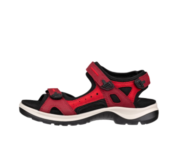 Ecco  06956356447 / ROJO