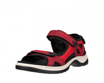 Ecco  06956356447 / ROJO