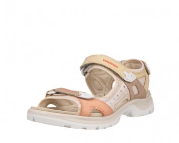 Ecco 06956360705 / MULTICOLOR