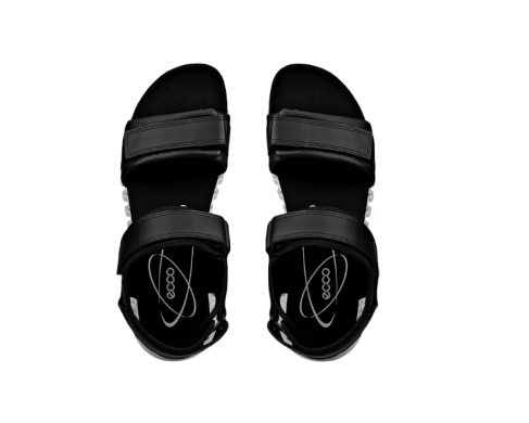 Ecco  21310301001 / NEGRO