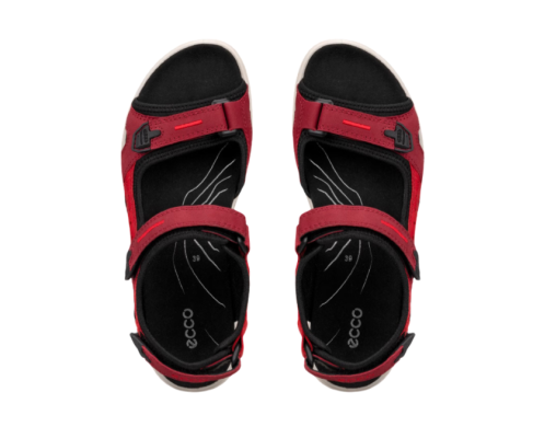 Ecco  06956356447 / ROJO