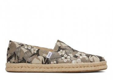 Toms 19892 / OLIVE