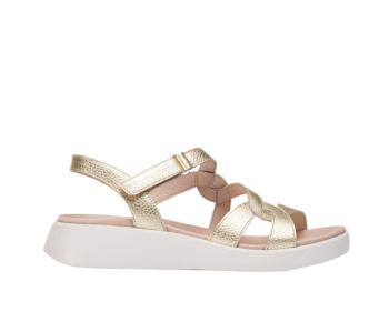 Wonders C-6541 / PLATINO