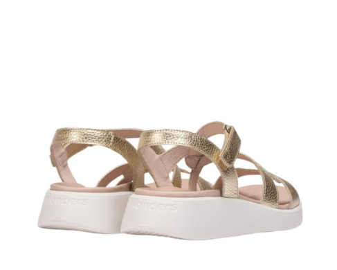 Wonders C-6541 / PLATINO