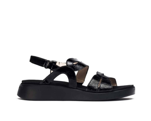 Wonders C-6534 / NEGRO