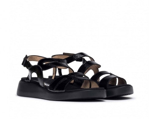 Wonders C-6534 / NEGRO