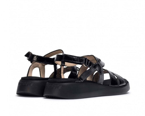 Wonders C-6534 / NEGRO